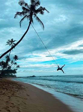 Ein Strand mit einer Palme und einer Frau, die sich an einer Liane hangelt